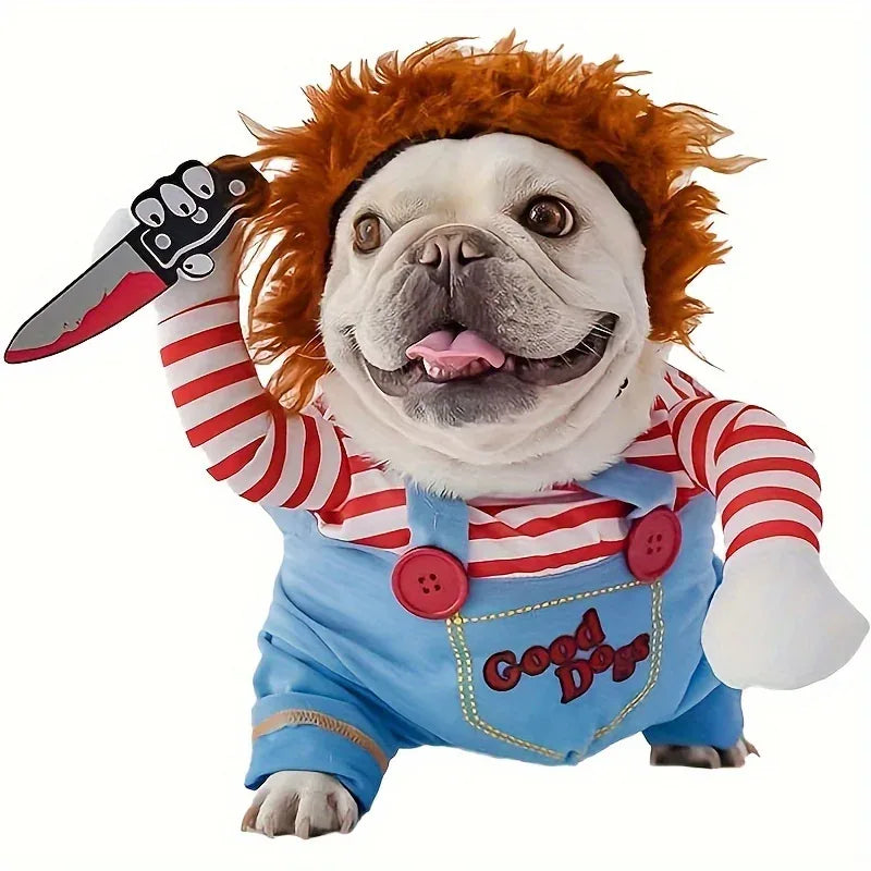 Ton Chien Va Faire Sursauter Toute La Famille 🔪