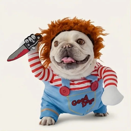 Ton Chien Va Faire Sursauter Toute La Famille 🔪